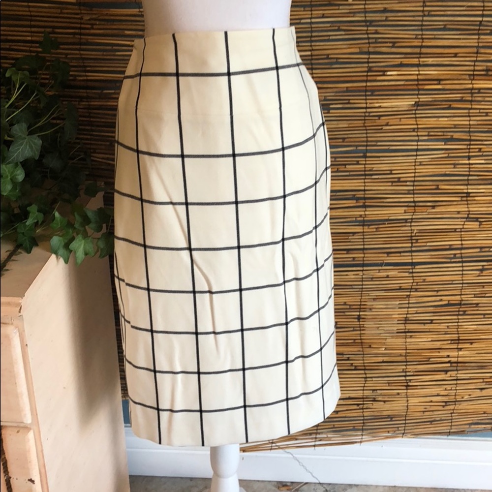 Express lined skirt